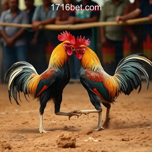 Cockfighting