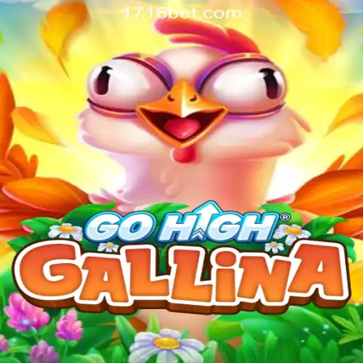 Discover the Excitement of GoHighGallina and 716bet.com Online Cassino Brasil #1